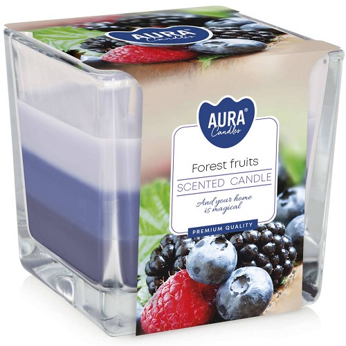 Svíčka ve skle aróma SNK80-13 Forest fruits