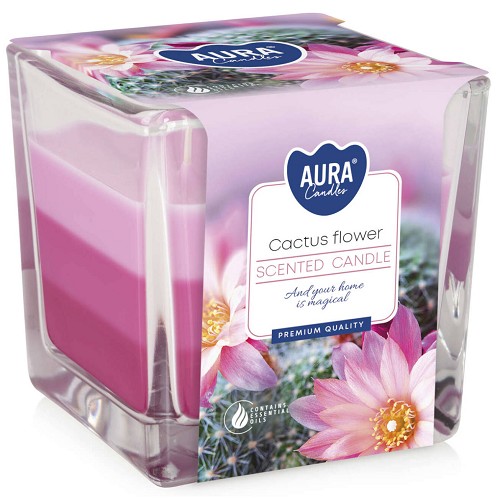 Svíčka ve skle aroma SNK80-312 Cactus flower