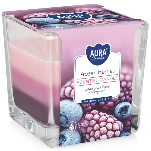 Svíčka ve skle aroma SNK80-314 Frozen berries