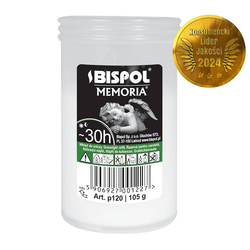 Vklad parafín P120(30h)