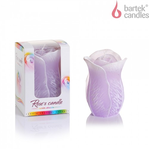 Růže dioda Květ 75x125 (vysoká) box fialová
